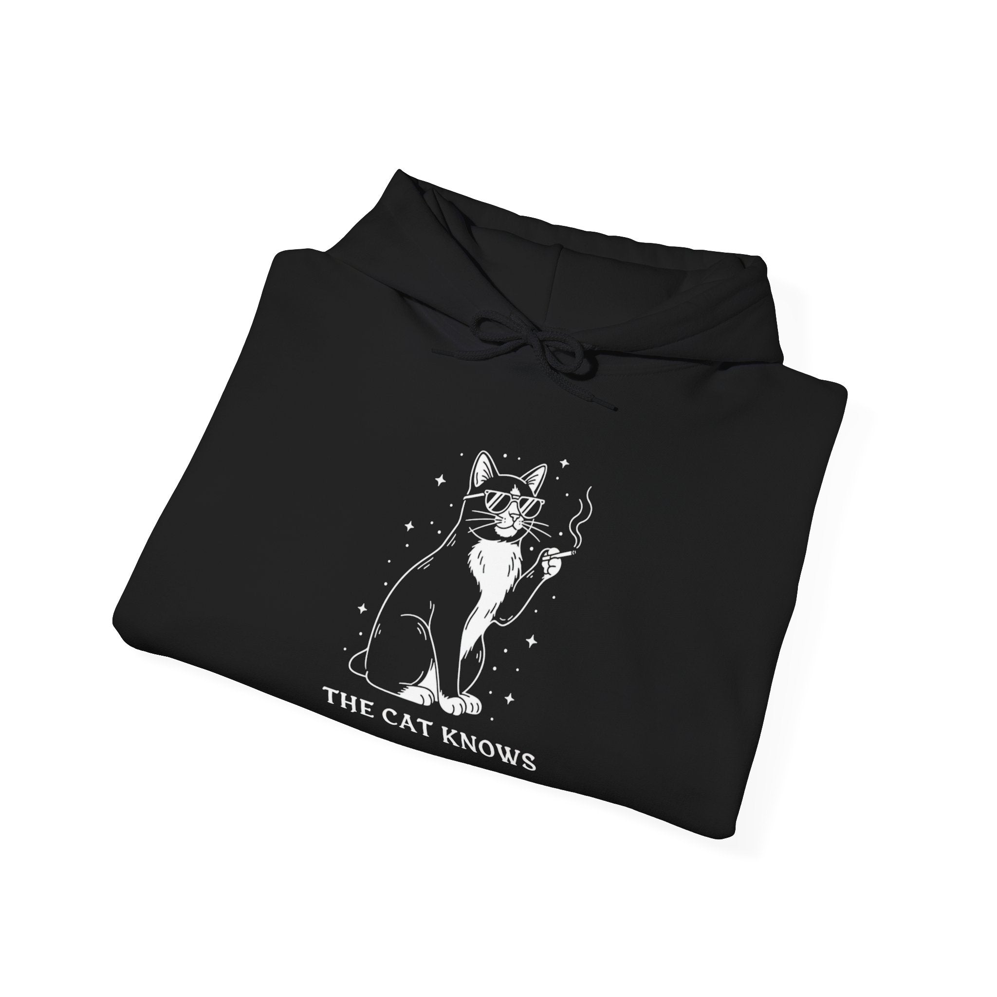 Cat Knows Hoodie — Black Graphic Cat Pullover with Paw Sleeve Prints